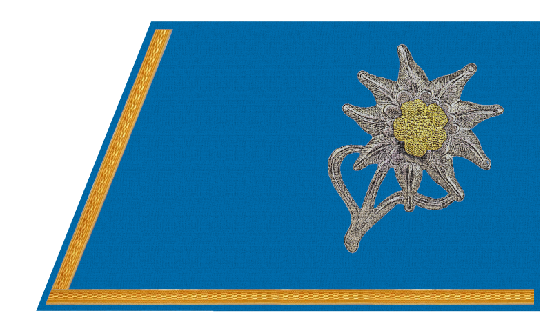 patka narodowa 1.png
