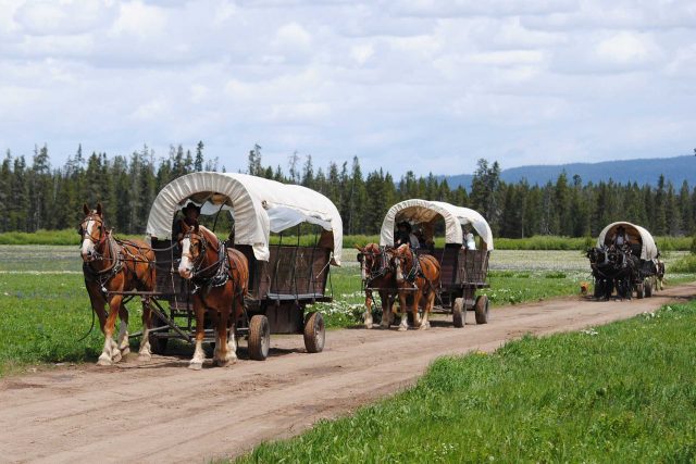 wagon-train-652213.jpg