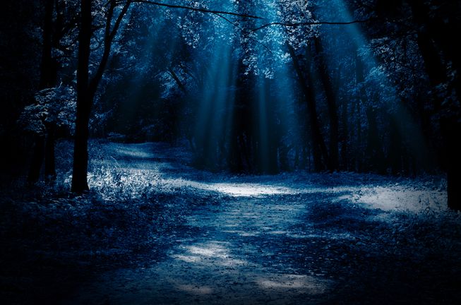 moonlight1.jpg
