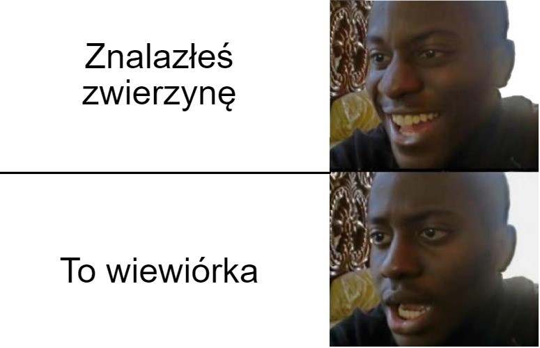 7d0m2y.jpg