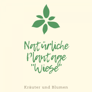 Logo Plantacji Ziół i Kwiatów